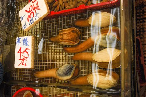  Geoduck! Uma Ameaça Silenciosa Escondida nas Profundezas da Areia