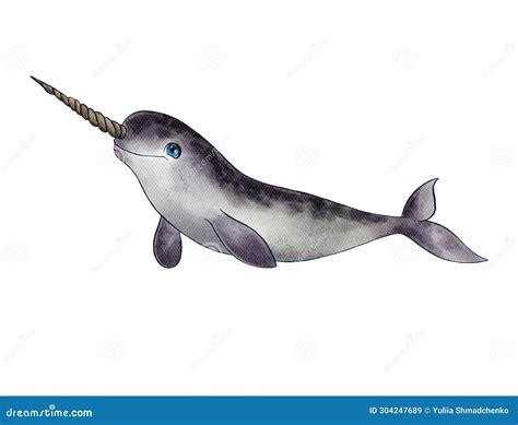  Narwhal: Conhecendo o Unicórnio do Mar! A criatura marinha com um chifre único em espiral que vaga pelos oceanos árticos nos inspira a descobrir os mistérios de suas profundezas geladas.