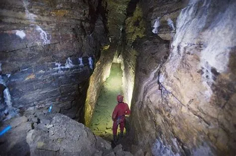  Urodeles! Descubra os Misteriosos Sentinelas Subterrâneos que Podem Ter Mais de Cem Pernas